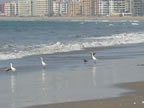 Anochecer en Playa Peñuelas Coquimbo Chile