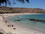 Playa Coquimbo Chile Tongoy