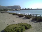 Playa Chinchorro Arica Chile